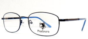 FOXBORO FX 001