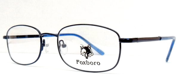 FOXBORO FX 001