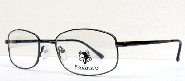 FOXBORO FX 005