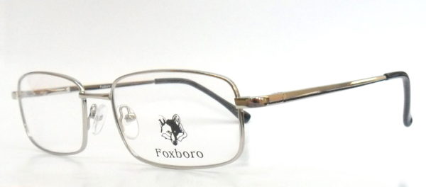 FOXBORO FX 013