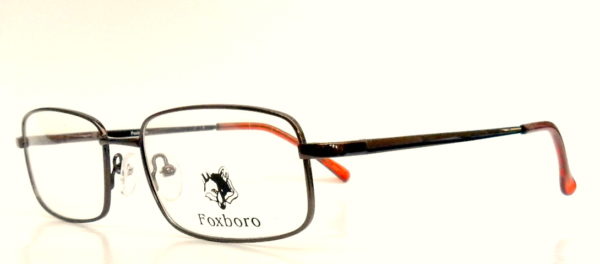 FOXBORO FX 013